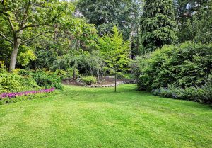 Optimiser l'expérience du jardin à Le Pian-Medoc